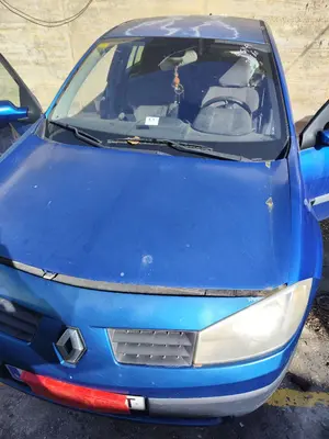Foto de CAPO RENAULT MEGANE II BERLINA 5P 1.5 dCi Diesel (101 CV / 74 KW) foto 3