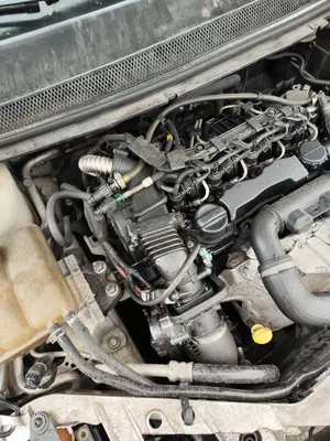Foto de MOTOR COMPLETO FORD FOCUS BERLINA (CAP) 1.6 TDCi CAT (90 CV / 66 KW) referencia HHDA foto 2