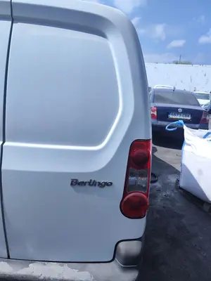 Foto de PORTON TRASERO DERECHO CITROEN BERLINGO FURGÓN 1.6 16V HDi FAP (90 CV / 66 KW) referencia 9820437080 foto 2