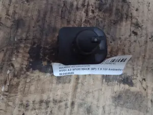 Foto de MANDO RETROVISOR AUDI A3 SPORTBACK (8PA) 1.9 TDI (105 CV / 77 KW)
