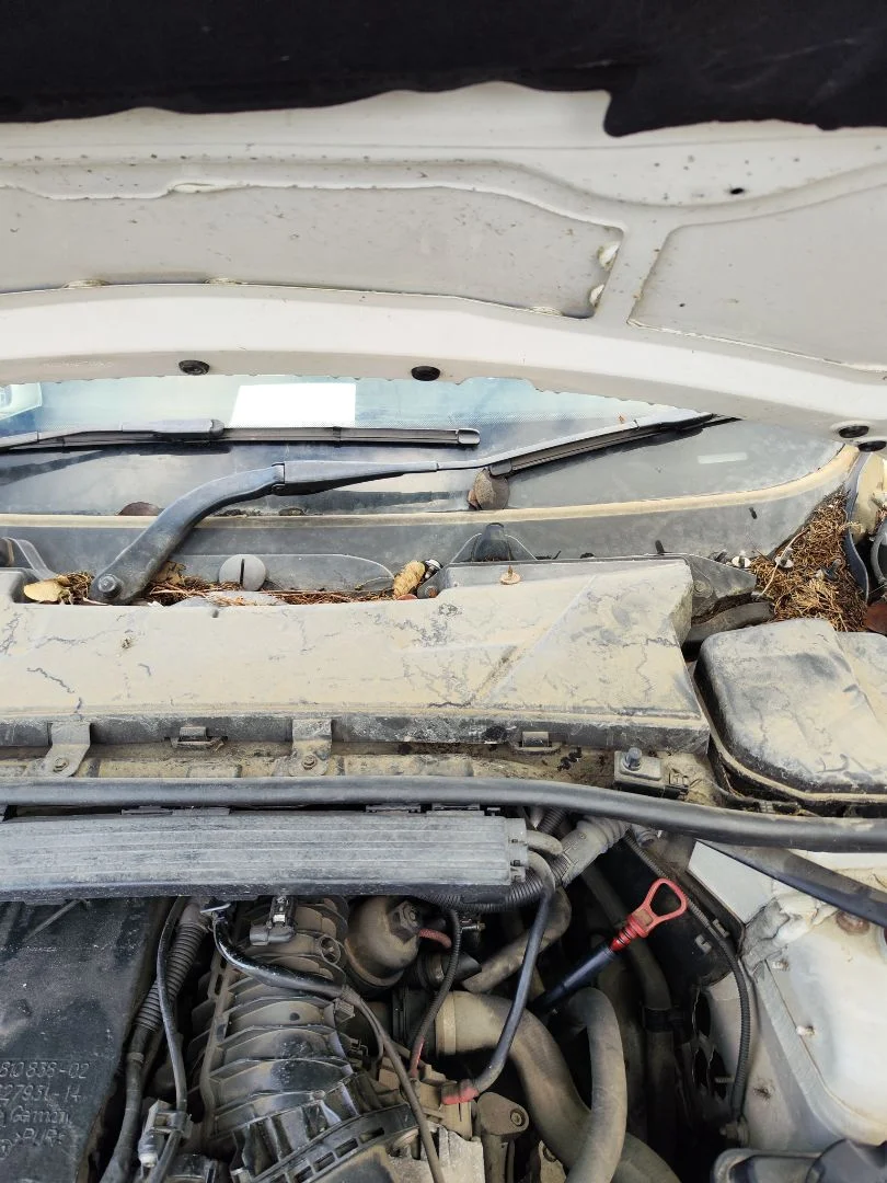 Foto de BRAZO LIMPIA DELANTERO IZQUIERDO BMW SERIE 3 BERLINA (E90) 2.0 Turbodiesel CAT (143 CV / 105 KW)