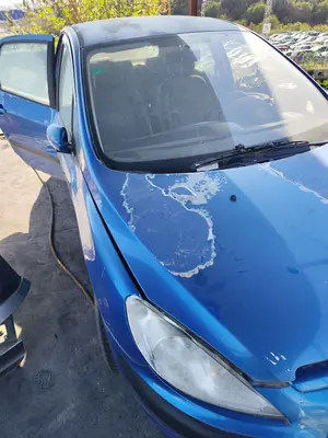 Foto de CAPO PEUGEOT 307 (S1)(04.2001) 1.6 16V CAT (109 CV / 80 KW) referencia 7901J0 foto 3