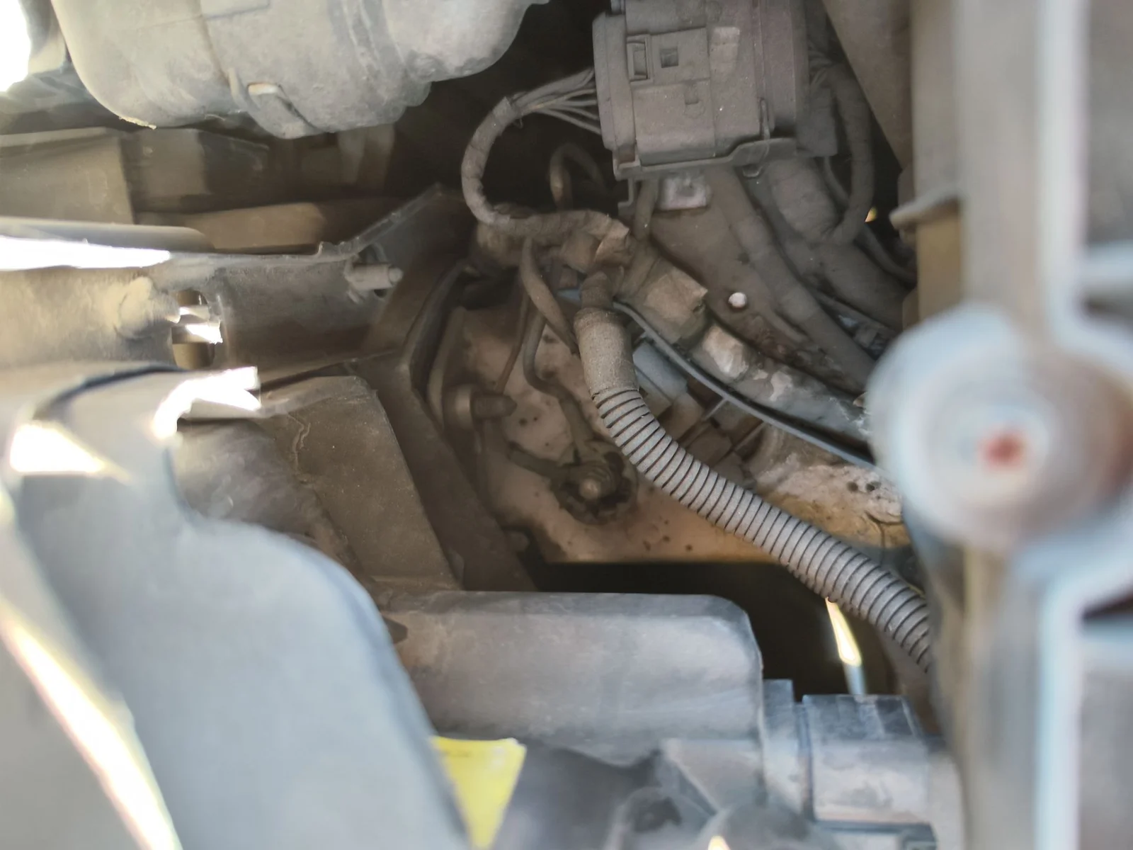 Foto de CLAXON VOLKSWAGEN GOLF PLUS V (5M1) 1.9 TDI (105 CV / 77 KW)