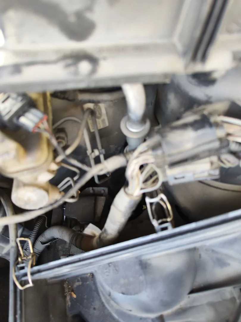 Foto de CLAXON FORD MONDEO BERLINA (GD) 1.8 Turbodiesel CAT (90 CV / 66 KW) referencia 6837109