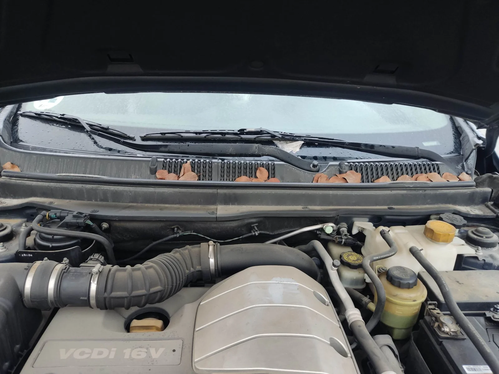 Foto de MOTOR LIMPIA DELANTERO CHEVROLET CAPTIVA 2.0 Diesel CAT (150 CV / 110 KW) referencia 20829044