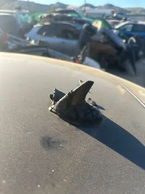 Foto de BASE DE ANTENA SAAB 9-3 BERLINA 1.9 TiD CAT (150 CV / 110 KW)