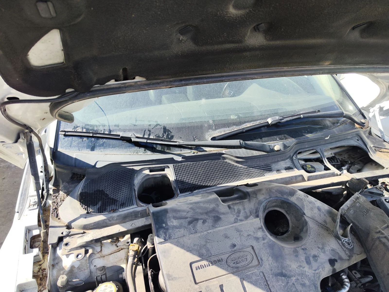 Foto de TORPEDO LAND ROVER RANGE ROVER EVOQUE 2.0 Td4 CAT (150 CV / 110 KW)