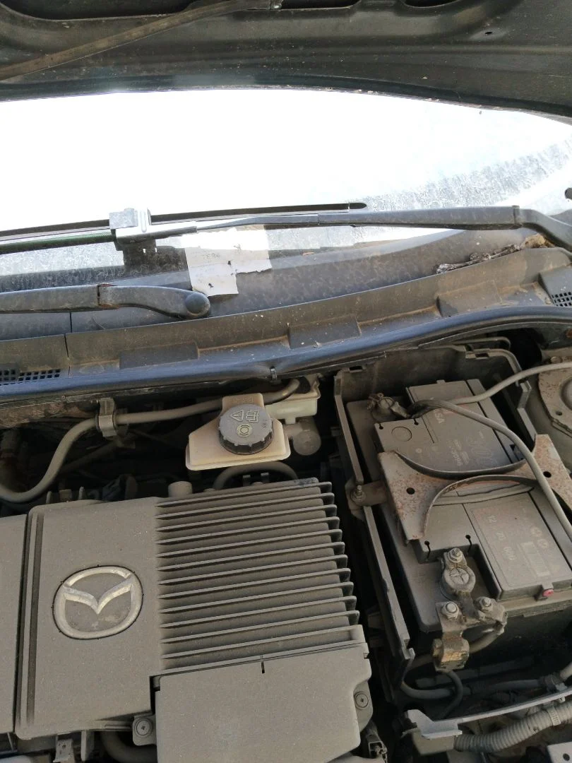 Foto de BRAZO LIMPIA DELANTERO IZQUIERDO MAZDA 3 BERLINA (BK) 1.6 16V CAT (105 CV / 77 KW) referencia BP4K-67-321E