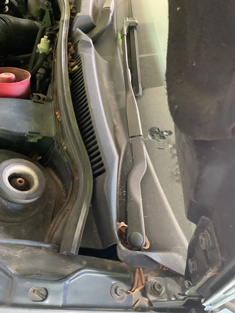 Foto de BRAZO LIMPIA DELANTERO IZQUIERDO VOLKSWAGEN GOLF IV BERLINA (1J1)(10.1997) 1.9 TDI (110 CV / 81 KW) referencia 1J1955409D