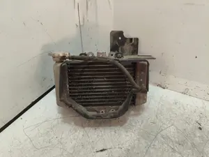 Foto de RADIADOR AGUA HONDA FES /SH /SES /DYLAN /PS   125 125 cm3 - 10 kW G-CAT (14 CV / 10 KW)