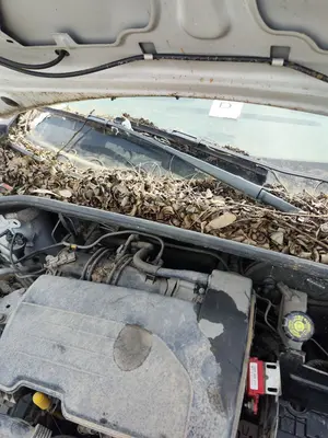 Foto de BRAZO LIMPIA DELANTERO DERECHO RENAULT CLIO III 1.2 16V (75 CV / 55 KW)