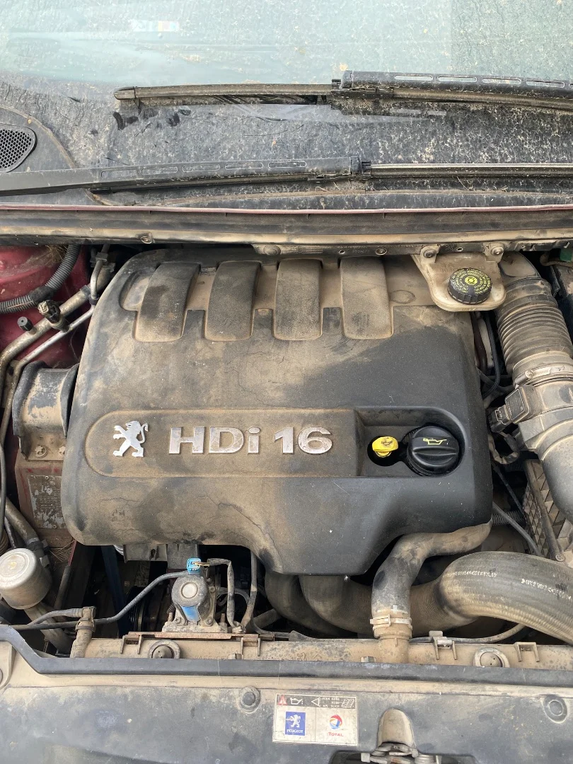 Foto de TAPA MOTOR PEUGEOT 307 BREAK / SW (S1)(04.2002) 2.0 16V HDi FAP CAT (RHR / DW10BTED4) (136 CV / 100 KW) referencia 013750