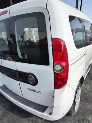 Foto de PORTON TRASERO DERECHO FIAT II DOBLÒ (152) 1.6 JTDM 16V CAT (105 CV / 77 KW)