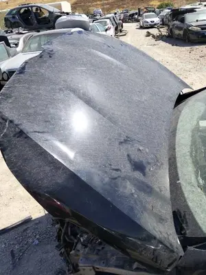Foto de CAPO RENAULT MEGANE IV BERLINA 5P