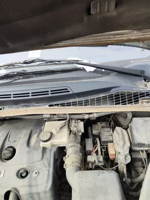 Foto de MOTOR LIMPIA DELANTERO CITROEN XSARA PICASSO 2.0 HDi CAT (RHY / DW10TD) (90 CV / 66 KW)