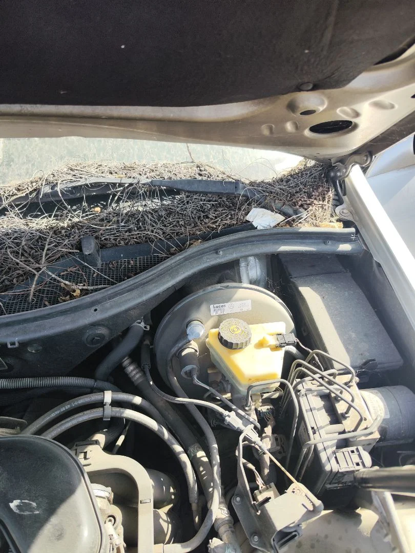 Foto de MOTOR LIMPIA DELANTERO MERCEDES-BENZ SLK (BM 170) ROADSTER 2.0 16V CAT (136 CV / 100 KW) referencia A1708202542