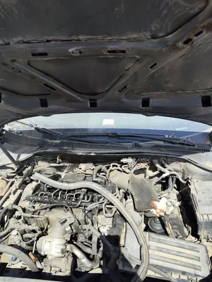 Foto de TORPEDO VOLKSWAGEN GOLF VI (5K1)(10.2008) 2.0 TDI (110 CV / 81 KW)