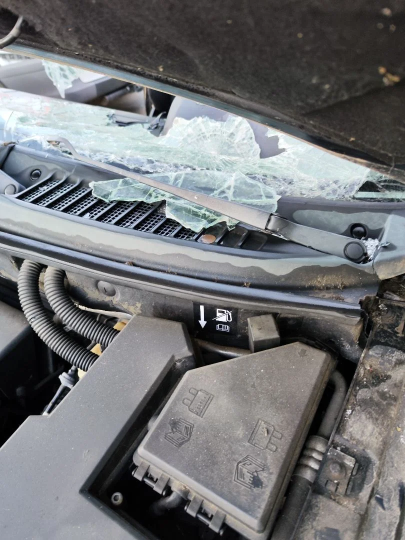 Foto de BRAZO LIMPIA DELANTERO IZQUIERDO LAND ROVER FREELANDER (LN) 2.0 Td4 CAT (109 CV / 80 KW)