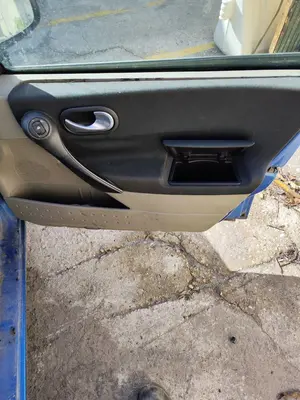 Foto de GUARNECIDO PUERTA DELANTERA DERECHA RENAULT MEGANE II BERLINA 5P 1.5 dCi Diesel (101 CV / 74 KW) foto 2