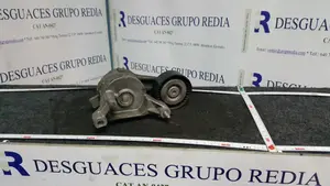Foto de TENSOR CORREA AUXILIAR AUDI A3 (8P1) referencia 03G903315A foto 1