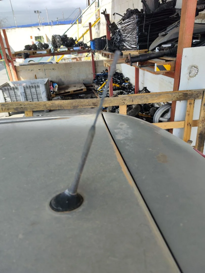 Foto de ANTENA RENAULT MEGANE II GRANDTOUR 1.5 dCi Diesel CAT (86 CV / 63 KW)