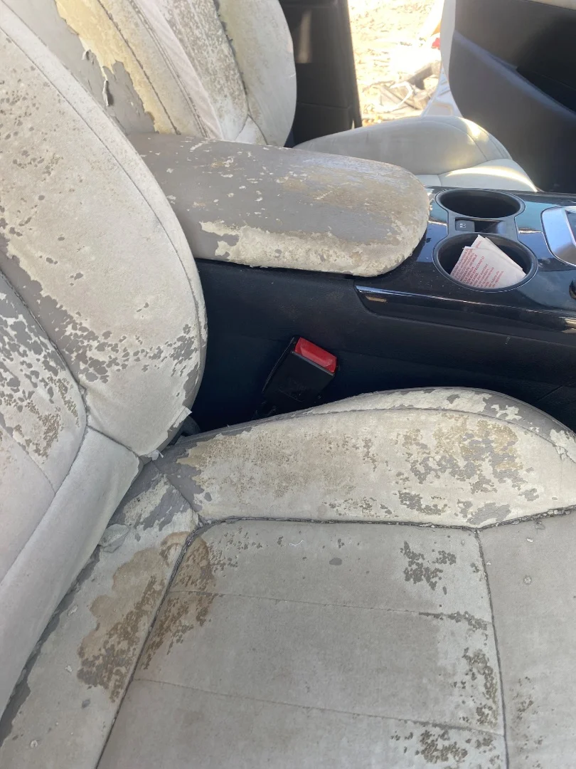 Foto de ENGANCHE CINTURON DELANTERO DERECHO PEUGEOT 3008 1.6 16V (120 CV / 88 KW)