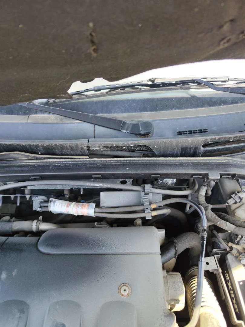 Foto de MOTOR LIMPIA DELANTERO CITROEN XSARA BERLINA 2.0 HDi CAT (RHY / DW10TD) (90 CV / 66 KW)