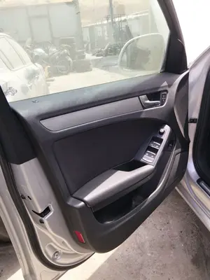 Foto de GUARNECIDO PUERTA DELANTERA IZQUIERDA AUDI A4 BERLINA (8K2) 2.0 16V TDI (143 CV / 105 KW) foto 2