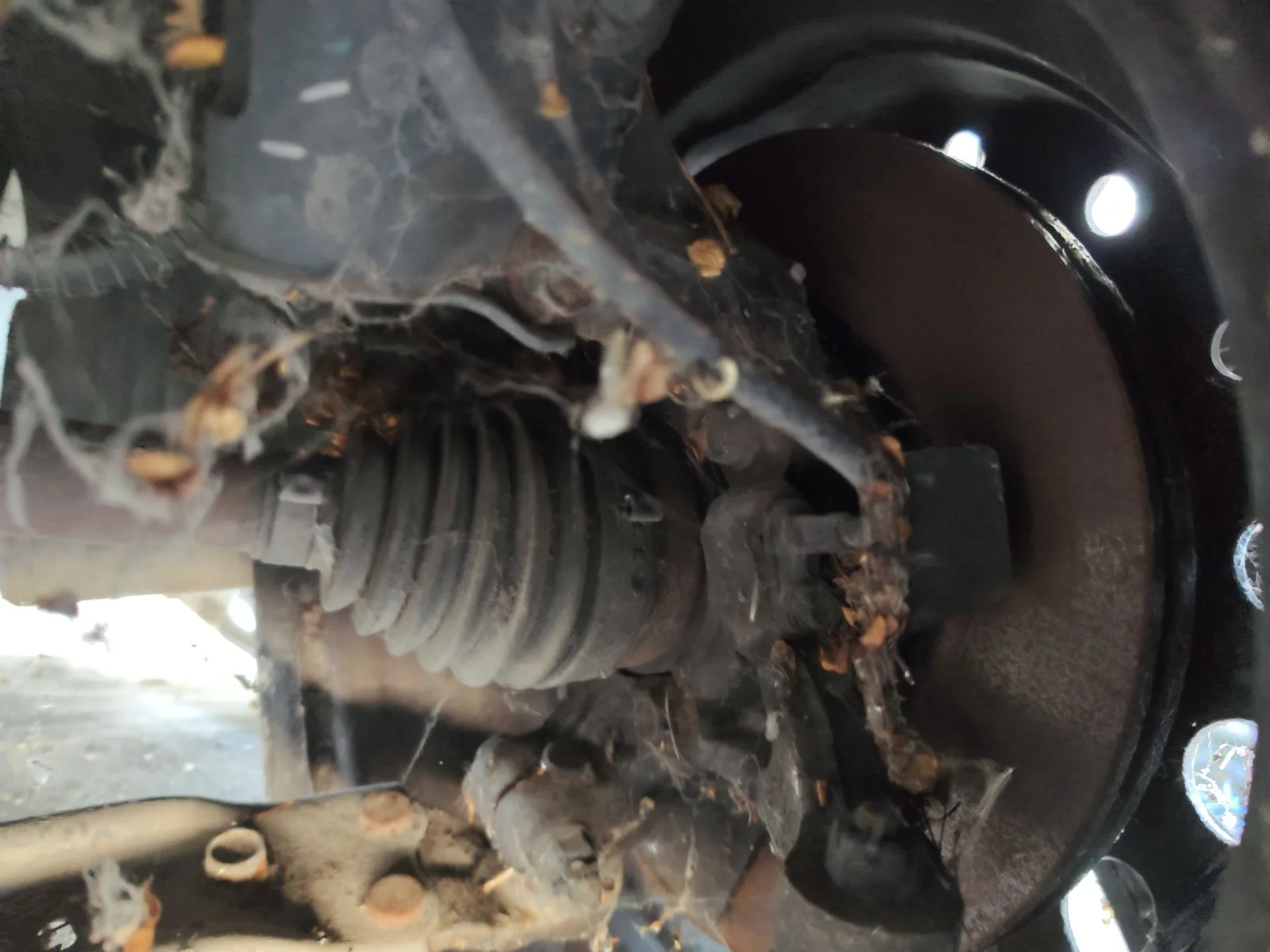 Foto de PINZA DE FRENO DELANTERA DERECHA KIA CEED (JD) 1.4 CAT (99 CV / 73 KW)