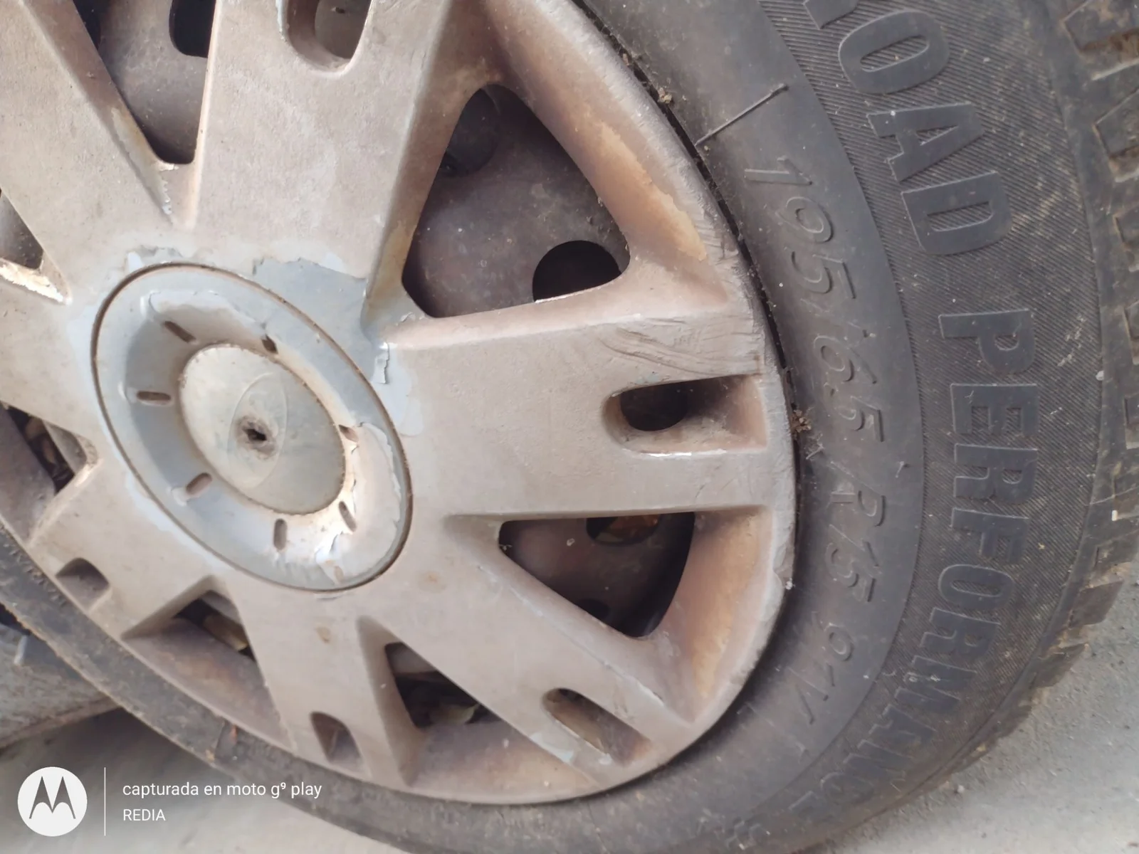 Foto de LLANTA FORD FOCUS SPORTBREAK (CAP) 1.6 16V CAT (101 CV / 74 KW) referencia 1252417