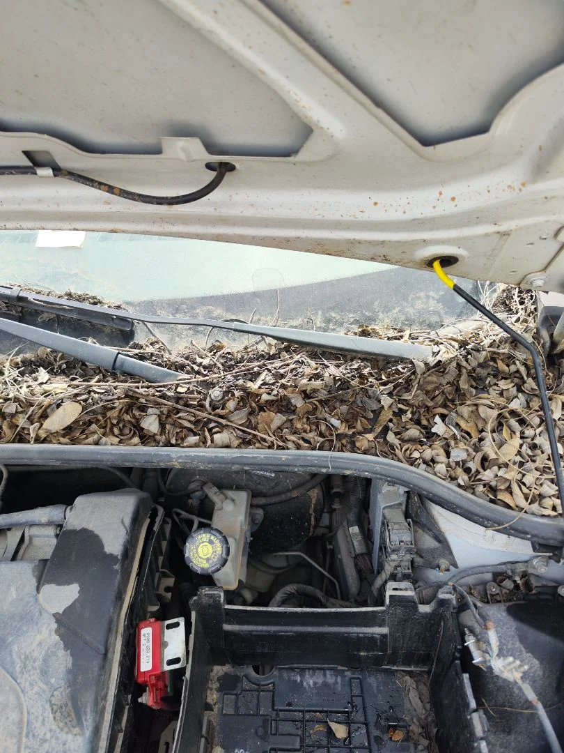 Foto de BRAZO LIMPIA DELANTERO IZQUIERDO RENAULT CLIO III 1.2 16V (75 CV / 55 KW)