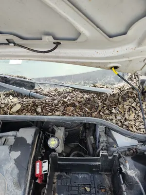 Foto de BRAZO LIMPIA DELANTERO IZQUIERDO RENAULT CLIO III 1.2 16V (75 CV / 55 KW)