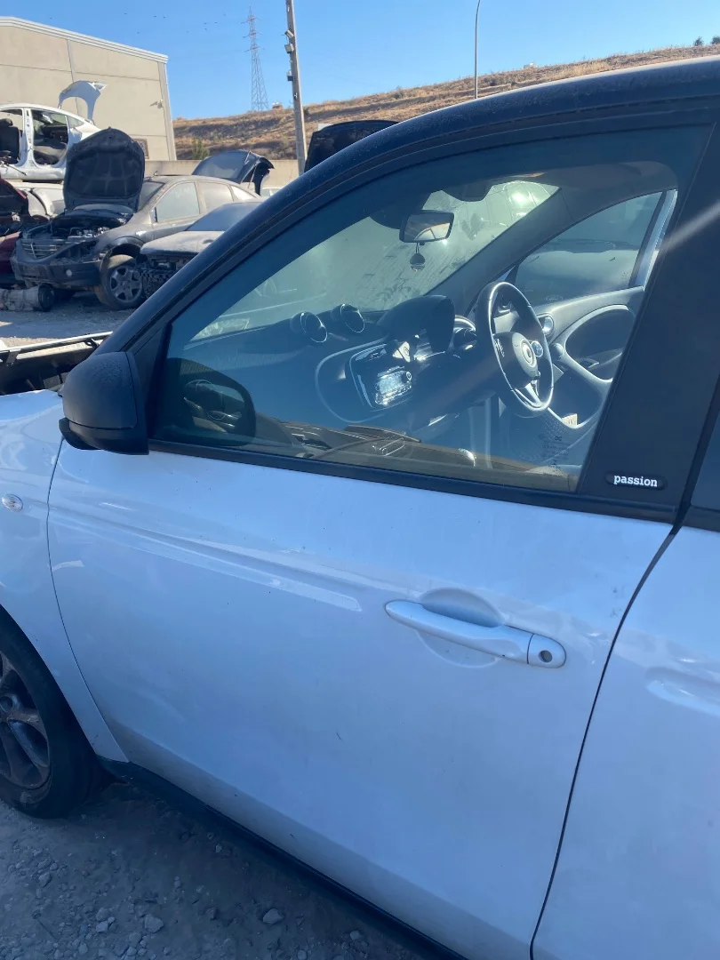 Foto de PUERTA DELANTERA IZQUIERDA SMART FORFOUR