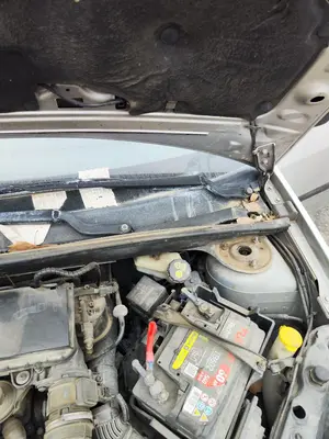 Foto de MOTOR LIMPIA DELANTERO FORD FIESTA (CBK) 1.4 TDCi CAT (68 CV / 50 KW) referencia 1740714 foto 2