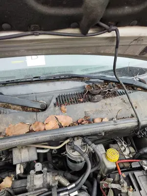 Foto de MOTOR LIMPIA DELANTERO FIAT I DOBLÒ (119) 1.9 JTD CAT (105 CV / 77 KW)