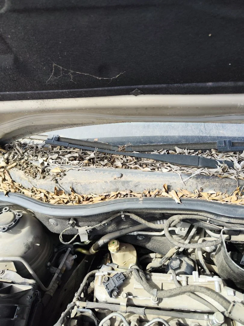 Foto de BRAZO LIMPIA DELANTERO DERECHO OPEL ASTRA H BERLINA 1.7 16V CDTI (110 CV / 81 KW) referencia 93178942