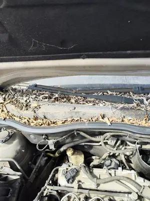 Foto de BRAZO LIMPIA DELANTERO DERECHO OPEL ASTRA H BERLINA 1.7 16V CDTI (110 CV / 81 KW) referencia 93178942