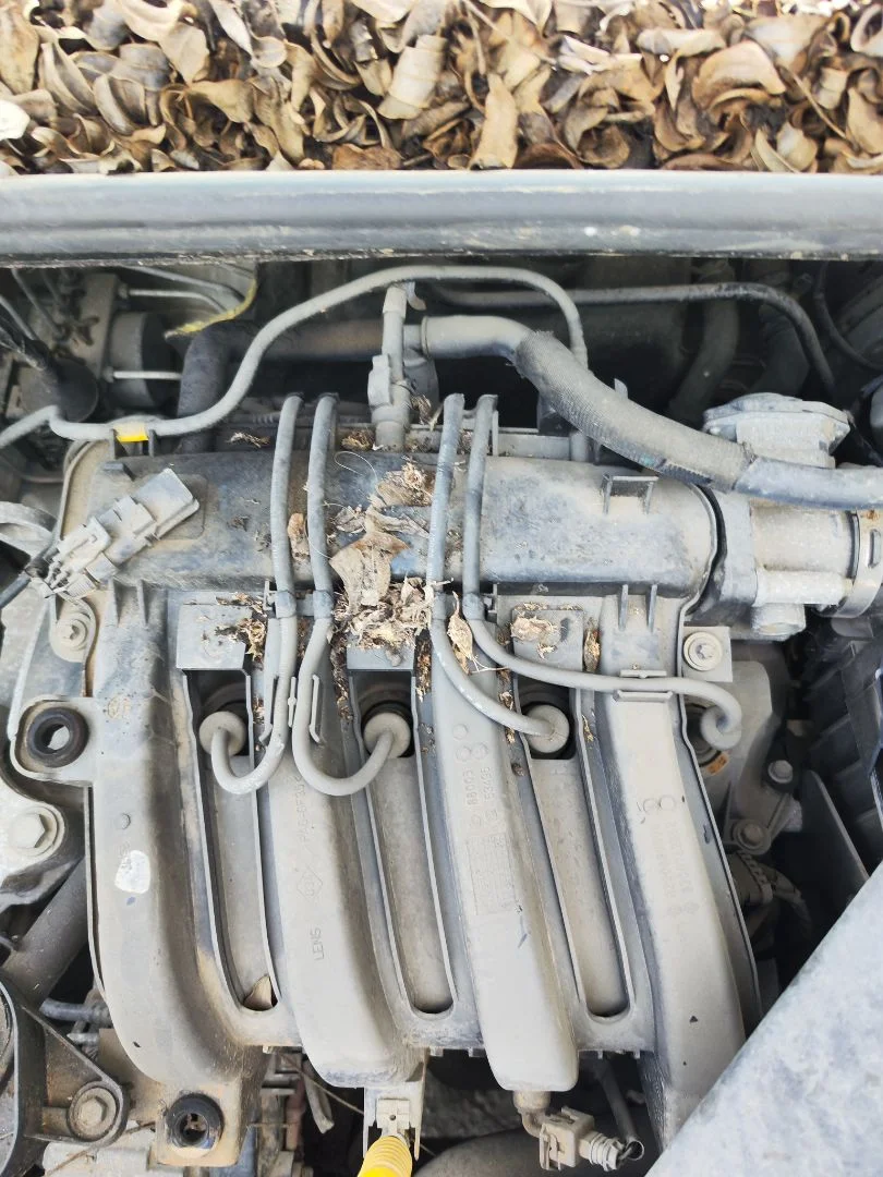 Foto de BOBINA ENCENDIDO RENAULT CLIO III 1.2 16V (75 CV / 55 KW)