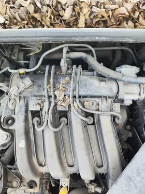 Foto de BOBINA ENCENDIDO RENAULT CLIO III 1.2 16V (75 CV / 55 KW)