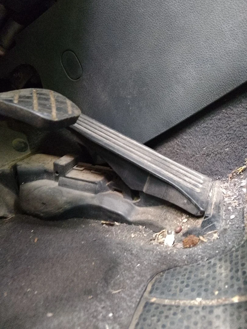 Foto de POTENCIOMETRO PEDAL VOLKSWAGEN GOLF PLUS V (5M1) 1.9 TDI (105 CV / 77 KW)