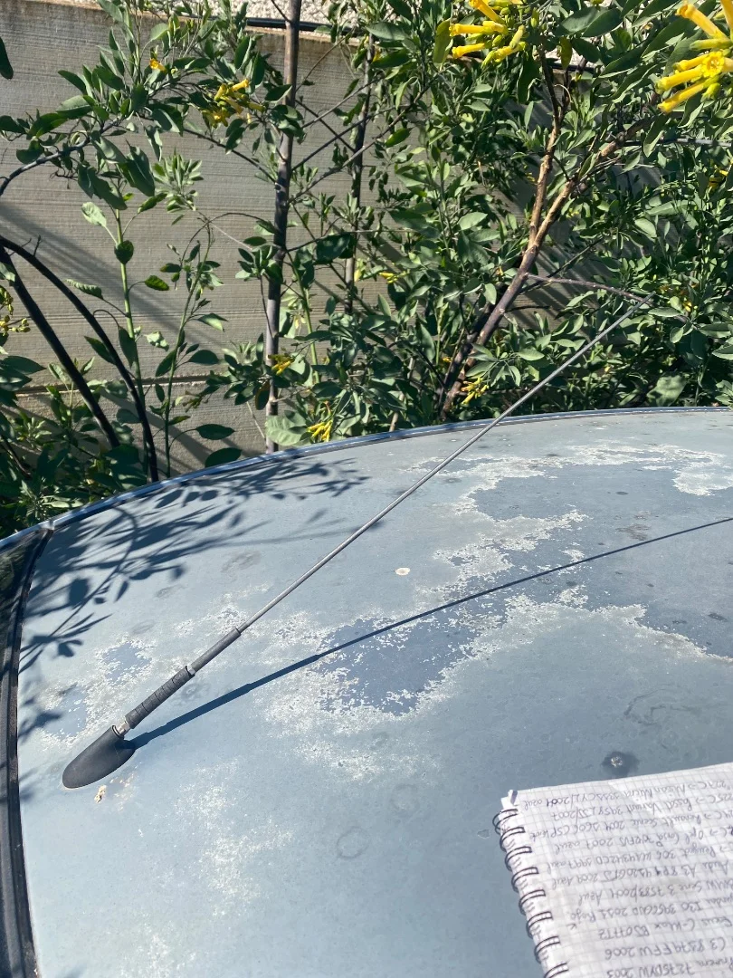 Foto de ANTENA FORD FOCUS C-MAX (CAP)(2003) 1.6 TDCi CAT (109 CV / 80 KW)