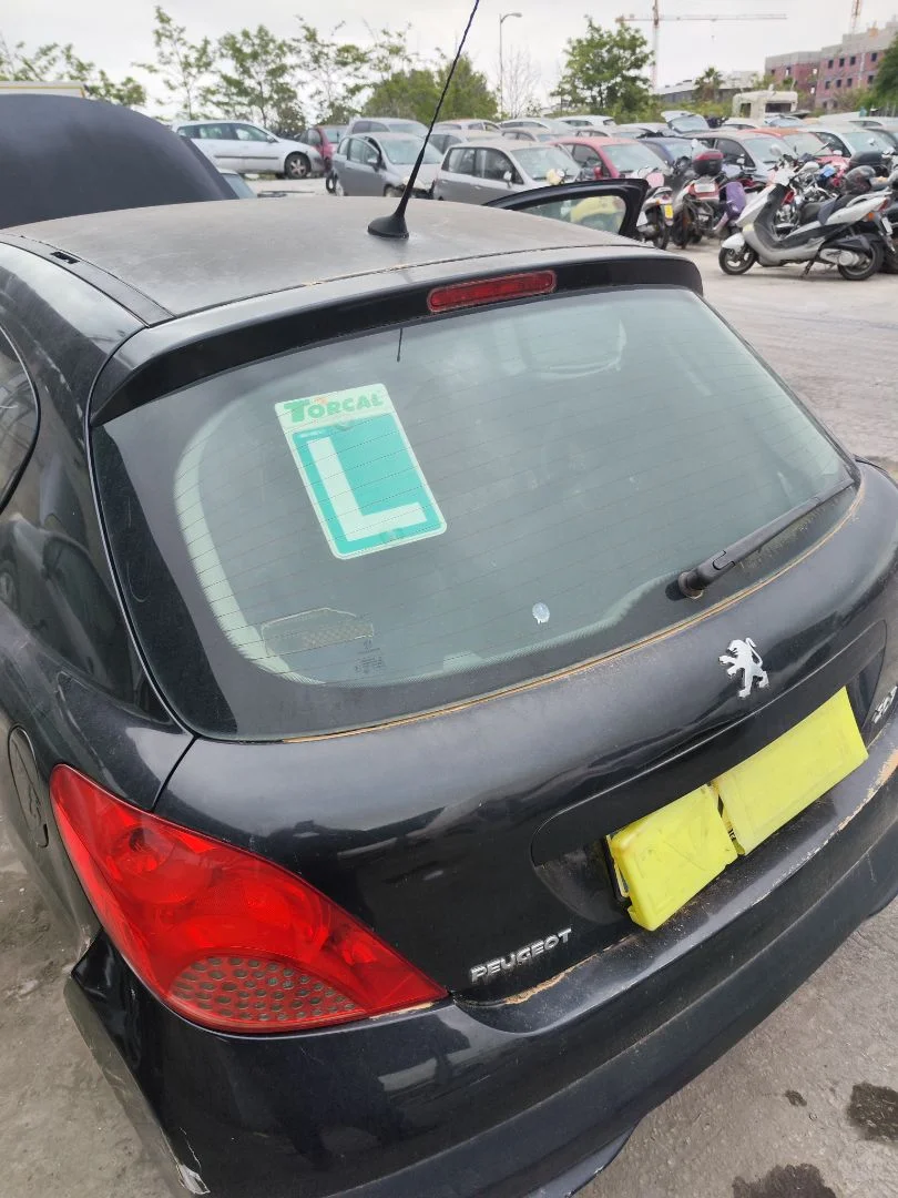 Foto de GOMAS CONTORNO PUERTA PEUGEOT 207 1.4 16V CAT (KFU / ET3J4) (88 CV / 65 KW)