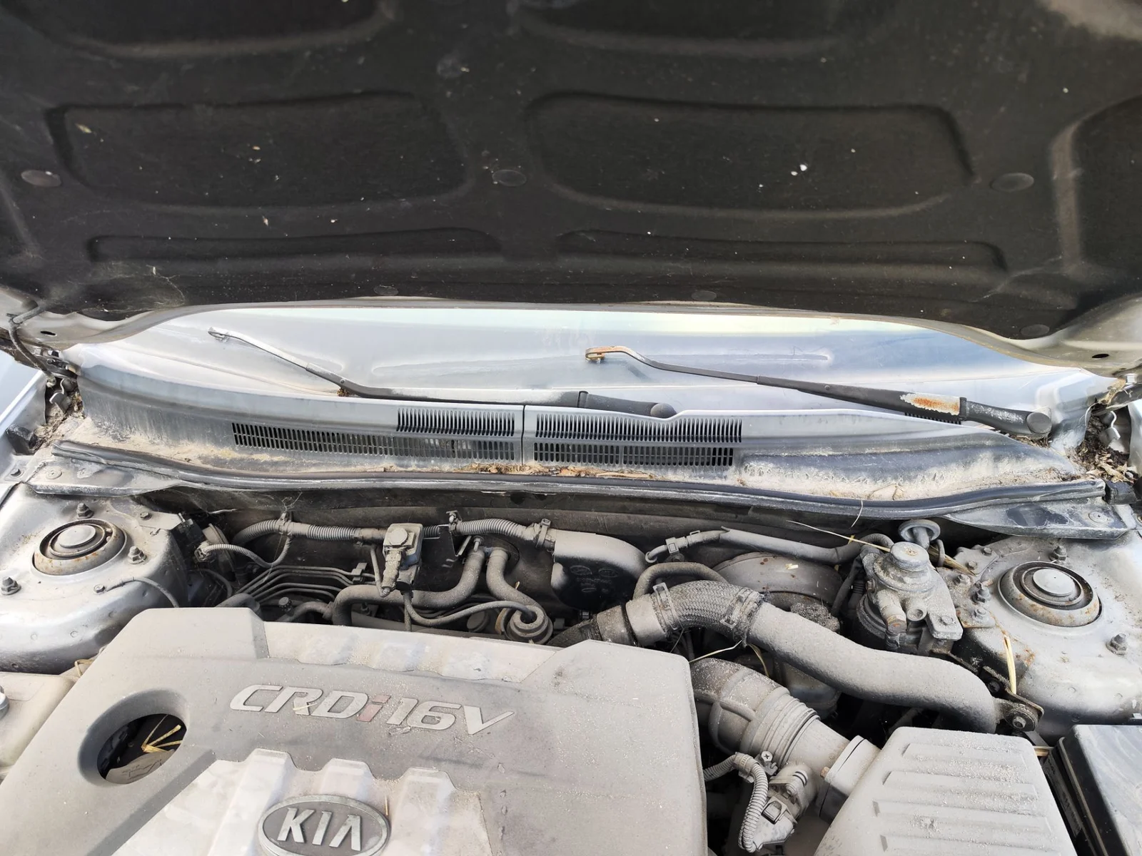 Foto de TORPEDO KIA CERATO (LD) 1.5 CRDi (102 CV / 75 KW) referencia 861511H000