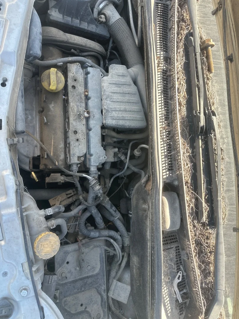 Foto de DESPIECE MOTOR OPEL MERIVA 1.6 16V (101 CV / 74 KW)