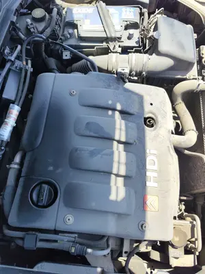Foto de TAPA MOTOR CITROEN XSARA BERLINA 2.0 HDi CAT (RHY / DW10TD) (90 CV / 66 KW)