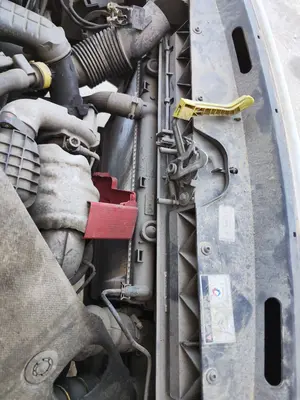 Foto de RADIADOR AGUA CITROEN BERLINGO FURGÓN 1.6 Blue-HDI FAP (99 CV / 73 KW)