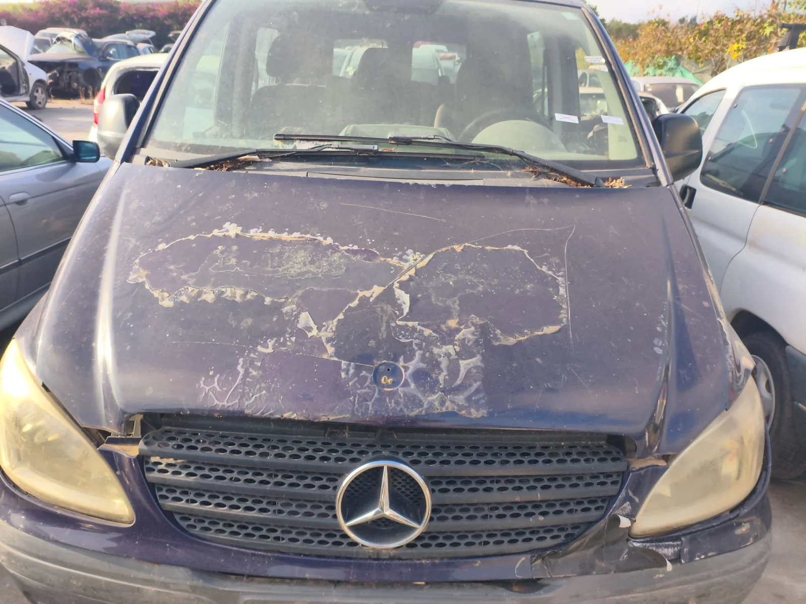 Foto de CAPO MERCEDES-BENZ VITO MIXTO (639) 2.1 CDI CAT (109 CV / 80 KW) referencia A639750050228