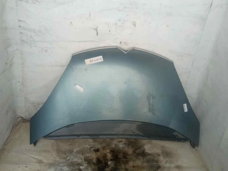 Foto de CAPO CITROEN C4 PICASSO 1.6 16V HDi FAP (109 CV / 80 KW)
