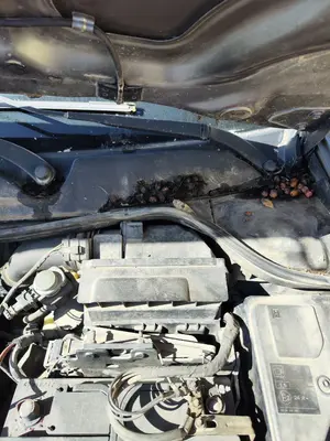 Foto de BRAZO LIMPIA DELANTERO IZQUIERDO RENAULT MEGANE II BERLINA 5P 1.5 dCi Diesel (101 CV / 74 KW)