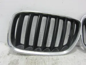 Foto de REJILLA DELANTERA BMW SERIE X5 (E53) foto 4